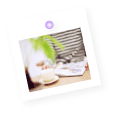 �Z�����Y�ƊE�̊�����
